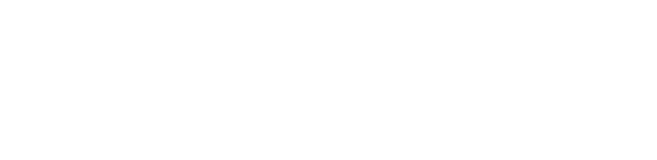 BI Group