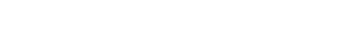 Kolesa Group